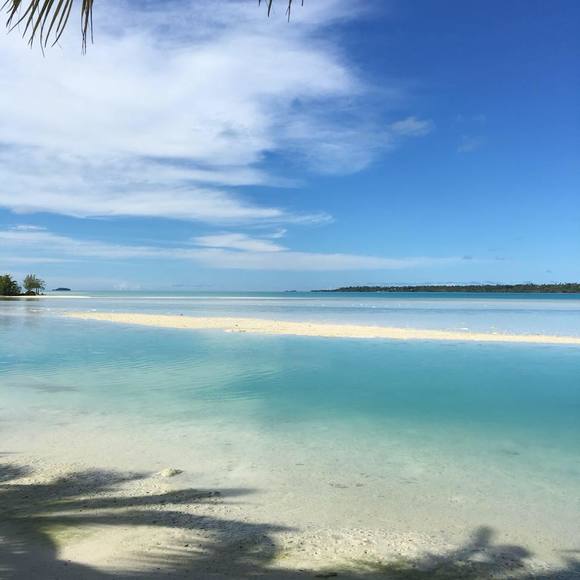 Meet your Posher, Alison - Picture 1 of 1